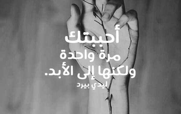 %D8%A7%D8%AC%D9%85%D9%84-%D9%83%D9%84%D8%A7%D9%85-%D8%BA%D8%B2%D9%84-600x380.jpg
